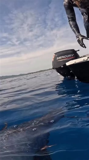 Small boat, big fish! 🐟💪🏼 Monster wahoo coming over the rail speared by @michael_sebern! What do you think this fish weighed?! 🐟🤔👇🏼 #wahoowednesday | Spearchannel