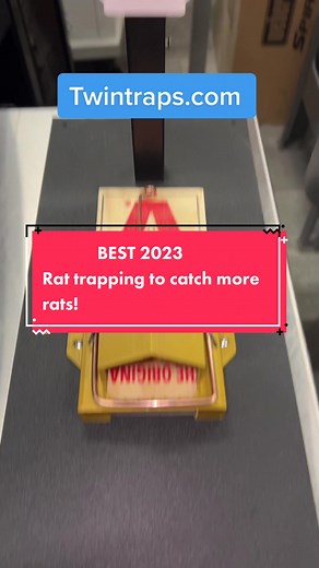 BEST rat trap of 2023! You want to catch more rats? Do this……#rats #pestcontroller #homeowner #productreview