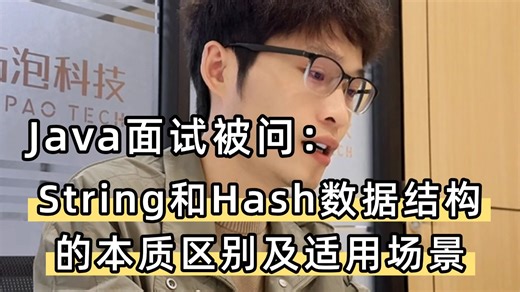 Java面试官：请你详细说说 String 和 Hash 数据结构的本质区别，以及各自在实际开发中的适用场景