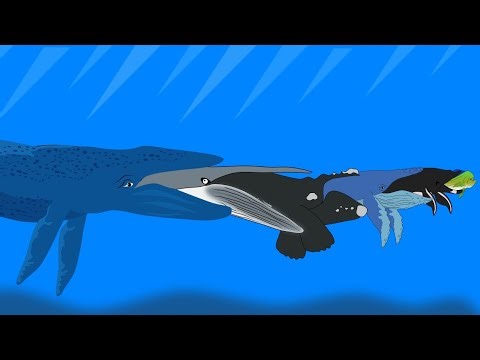 Fish Eat Fish Size Comparison // Ending With Blue Whale