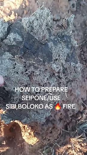 How to Prepare and Use Seipone and Sibi Bołoko for a Fiery Experience