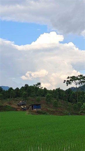 Xin trả tôi về #bolero #nhachaymoingay #tamtrang #canhactrutinh