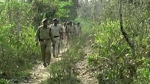 Swiss woman 'gang-raped' in central India