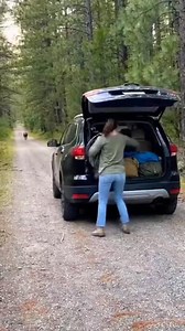 🦁🔥 Wild Lion Fury | SUV Under Attack 😱🚗 #WildLion #SUVUnderAttack #ForestDanger #WildlifeFury #4KReels #VerticalShorts #ScaryMoments #AnimalPower #ViralShorts | beastai