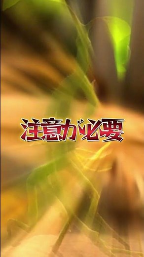 ファンタビの人気者！ニュートの可愛い相棒 ピケットを解説＆紹介!/ハリーポッター/ファンタスティックビースト / ハリーポッターと呪いの子 / ユニバ / USJ #Shorts