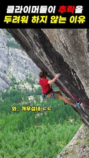 클라이머들이 추락을 두려워 하지 않는 이유 #클라이밍 #스포츠클라이밍 #climbing #rockclimbing #퀵드로우 #다이나믹로프 #스포츠과학