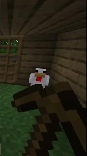 Minecraft Forest Exploration: Crafting, Text & Underground! #shorts