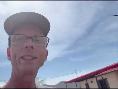 Netting our Peach Trees HD 720p