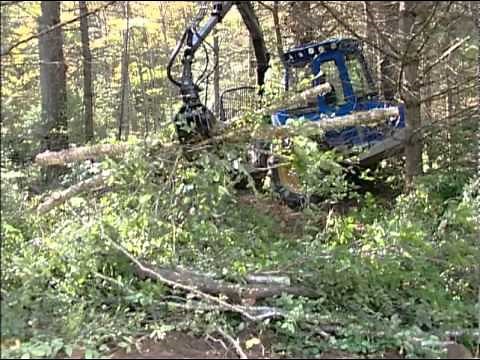 Better Stream Crossings: Using Portable Skidder Bridges