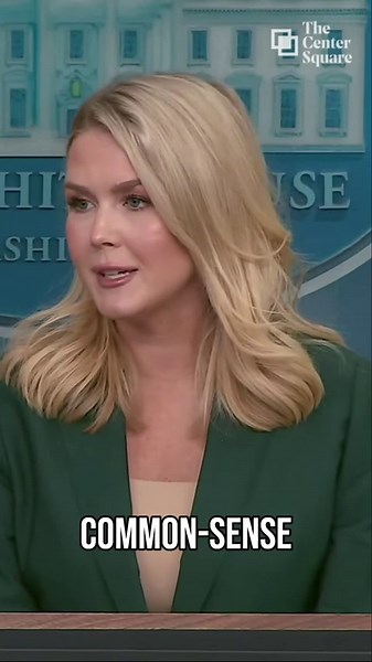 What Is Included in President Trump’s Election Integrity Plan?