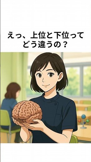 えっ、上位運動ニューロンと下位運動ニューロンってどう違うの？