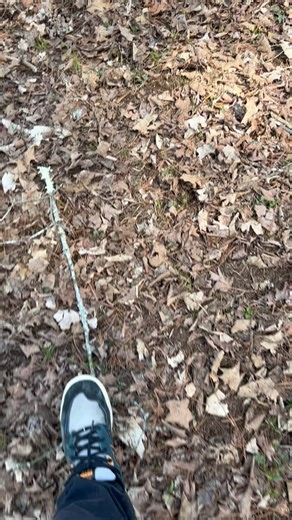 Christopher Brauser on Instagram: "#satire #midlifecrisis"