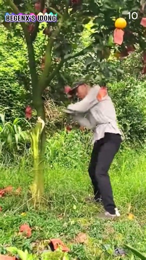 Super fast skill to cut down trees with super sharp tools #shorts