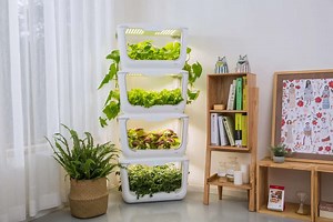 Hydroponics Kits - Ecoponics Singapore