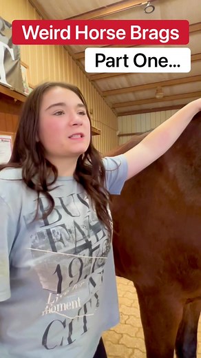 TheWildAdventureGirls on TikTok