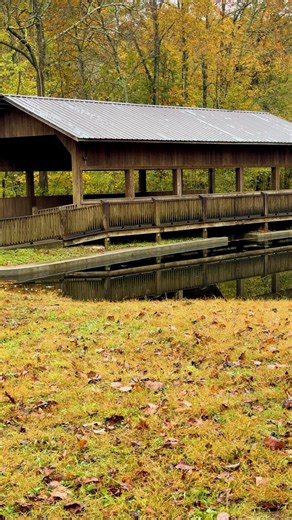 Tennessee’s Fall Sounds at David Crockett State Park — peaceful trails, rustling leaves, and flowing streams. 🍂 #nationalparks #statepark #visitlawrenceburgtn #Tennessee #fall #FallVibes | Visit Lawrenceburg