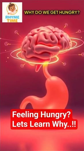 Why Do We Get Hungry?#animation #kidseducatio #smartkids #kidslearning #science #sciencefacts#shorts