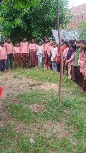 Fun with counting activity...😄😄