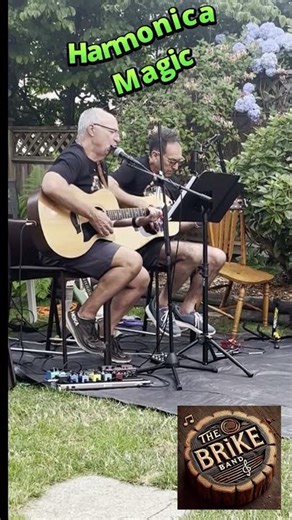 Harvest Moon Harmonica Solo - We Are Sure Neil Young Would Give This Solo a Huge THUMBS UP!!!!!