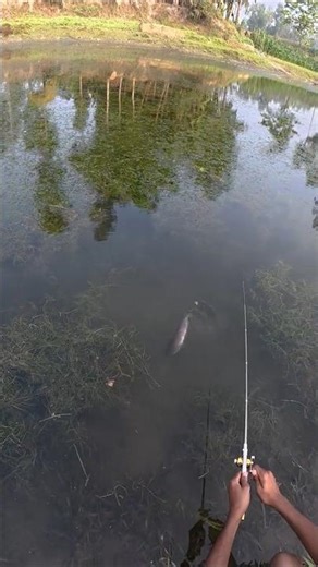 Tiny Hook Challenge – Massive River Battle #fishing #fishingvideo #fish #carpfishing