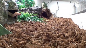 I FINALLY CAUGHT A FART ON CAMERA HAHAHA😂😂😂😂