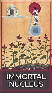 Immortal Nucleus | When You Ignore This Inner Signal, Life Gets Harder