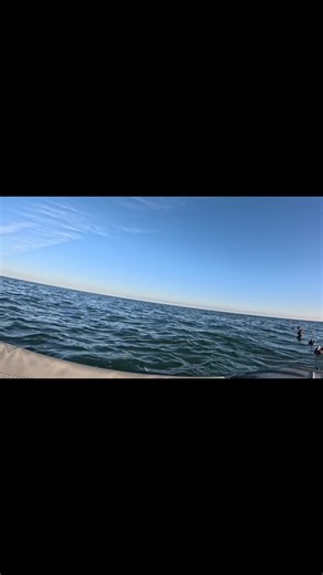 Essential Gear for Sea Duck Hunting in Sitka