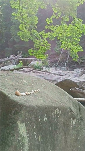VERY COOL BOULDERS & ROCKS & A PICTURESQUE STREAM NEAR CUYAHOGA VALLEY NATIONAL PARK 🏞️ #forest