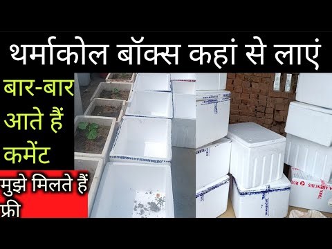 थर्माकोल बॉक्स कहां से लाएं कितने समय तक चलता है Where to get thermocol box & how long does it last?