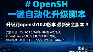 Openeuler 22 安装升级最新版OpenSSH 10.0