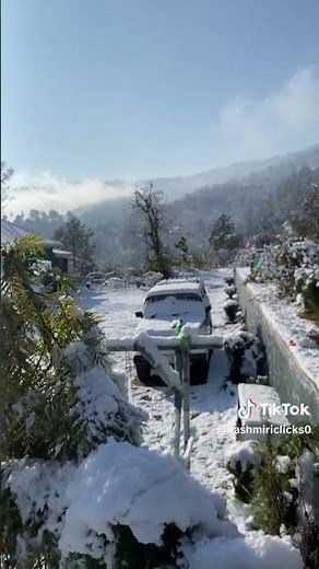 Winter Season Snowfalling videos #azadkashmir #mountains #snowfall #snow #travel #nature #frozenfall