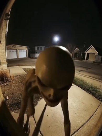 Alien Sighting Captured on Ring Camera