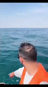 Geronimoooo! A dolphin jumped into their boat. Kish Island is an Iranian island in the Persian Gulf, #Iran | Iran Photos