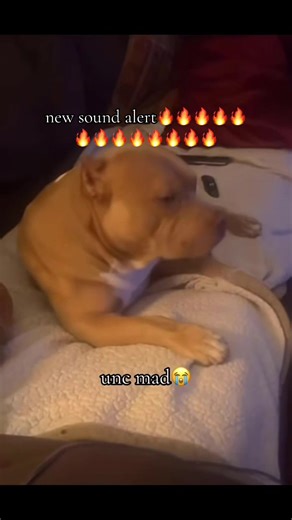 Introducing New Sound Alert in R46 Subway Car