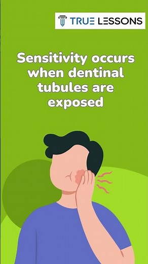 Is sensitivity only due to pulp exposure