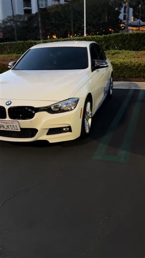 Calm lineup #fyp #cars #meet #bmw #fypシ @f30maar @cruz 🕷️💫 @Cole Newsom