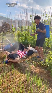 3.8K views · 61 reactions | Most View Funny Show | KDM 24h | Facebook