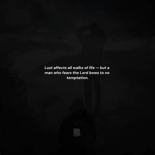 B Wise (@bwise.men)’s videos with original sound - B Wise