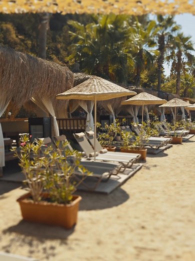 Nature and Tranquility Route: Choose the Best Location Early for Your 2026 Vacation | Pine Bay Holiday Resort