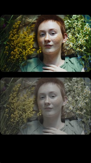 Build Real Film Looks with Sumerfade Dctle I Davinci Resolve I Colorgrading