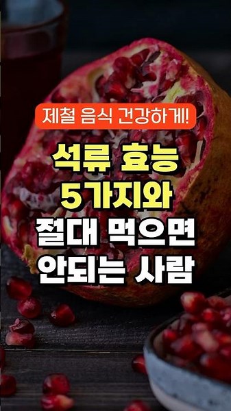 석류 효능 5가지와 절대 먹으면 안되는 사람 - 노화방지 혈관건강 관절염 장건강 발기부전 치매 예방에 좋은 음식 - 50대 60대 70대 중년 이후 건강관리 방법!