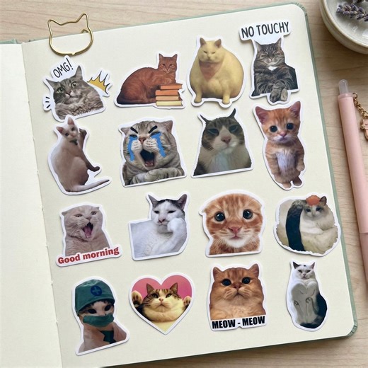 Cat Meme Stickers, Funny Cat Sticker Pack With Quotes, Cute Kawaii Die Cut Vinyl Decals for Journal Planner Laptop Water Bottle Gift - Etsy