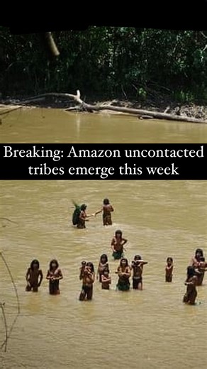 Mashco Piro hunter-gatherers appear on river bank to collect material for shelters, amid fears of ‘humanitarian disaster’ From encroachment from loggers. it’s a terrifying event for the people who live in these remote parts of Amazonia because the tribals carry arrows and bows and are very capable of shooting and killing without provocation. They’ve even killed people who were attempting to help them. I wanted to show you what their arrows look like up close. It’s incredible to hold some thing m