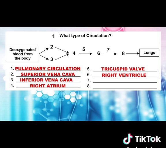 Grade 9 Science Quarter 1 Reviewer