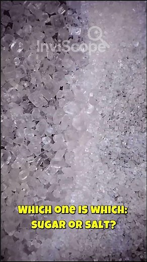 Microscope Reveals Salt vs Sugar — Can YOU Tell the Difference? #Microscope #Shorts #Salt #Sugar