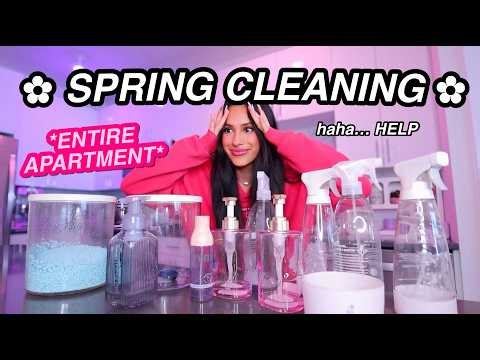 ✿ SPRING CLEANING ✿ my ENTIRE apartment... | honeybobabear