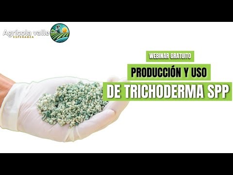 PRODUCCIÓN Y USO DE TRICHODERMA