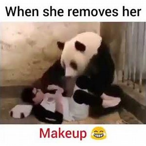 Man scares panda with panda mask viral funny