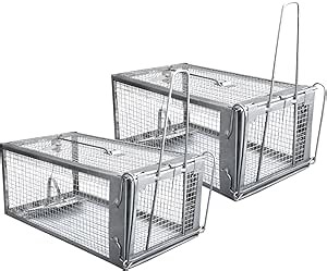 Gingbau 2-Pack Rat Traps Humane Live Chipmunk Mouse Trap Cages for Indoor and Outdoor Use