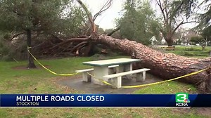 Cleanup in Stockton continues after storms leaves flooding, downed trees